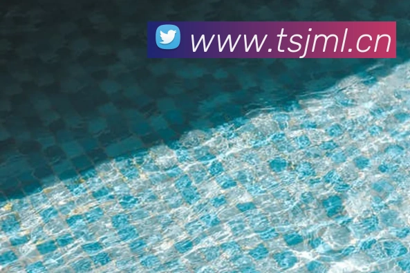 开云官方手机登录服务体系